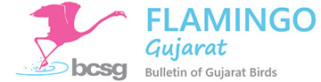Flamingo Gujarat